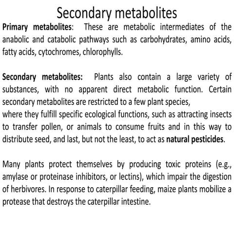 phytoHormones.pptx