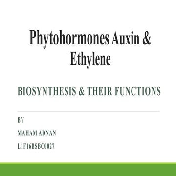 Phytohormones auxin & ethylene synthesis and effects