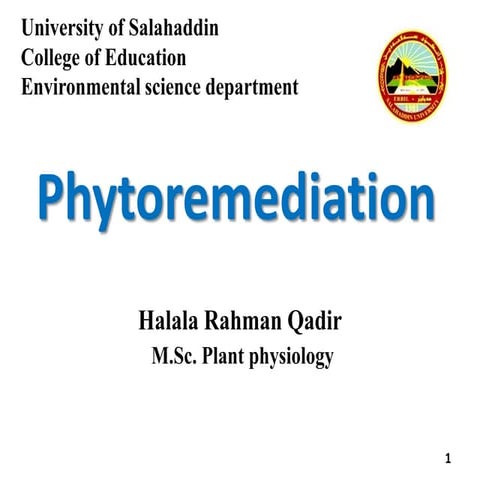 Phytoremediation.ppt