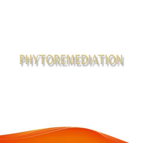 Phytoremediation
