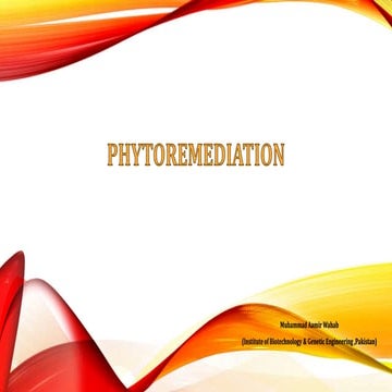 Phytoremediation