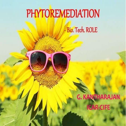 PHYTOREMEDIATION IN ENVT. MANAGEMENT - BIOTECHNOLGY ROLE...