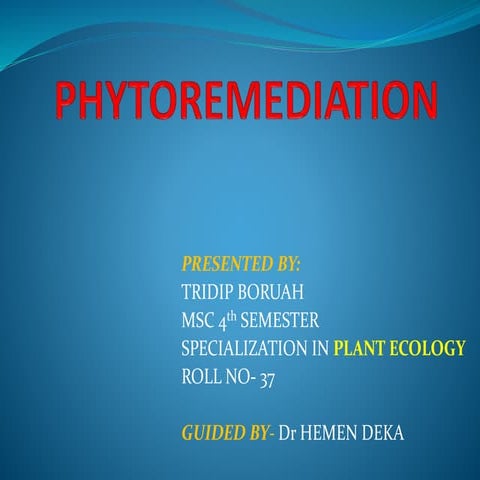 Phytoremediation