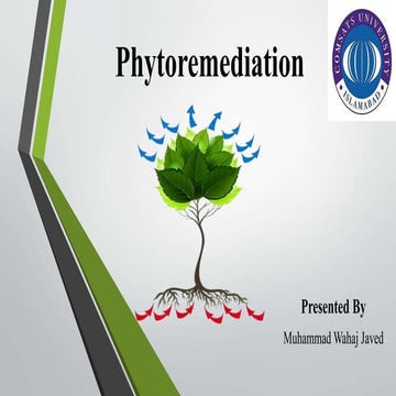 Phytoremediation