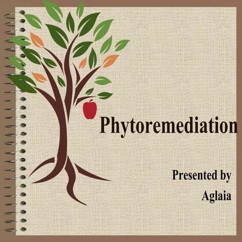 Phytoremediation