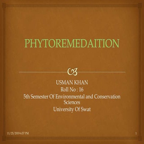 Phytoremediation