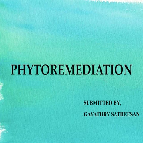 Phytoremediation