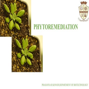 Phytoremediation