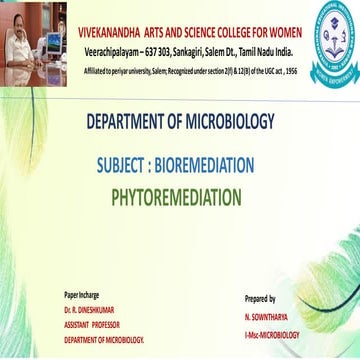 Phytoremediation-2 and its types classification