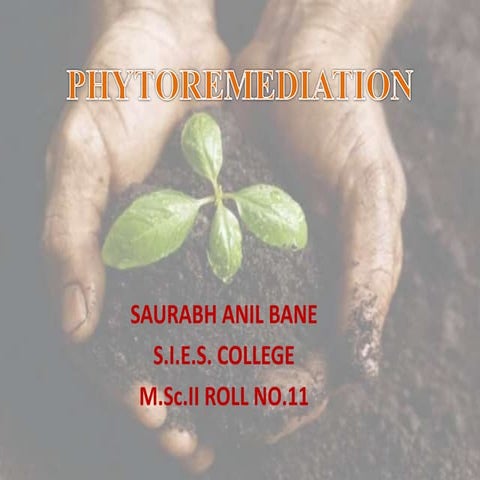 Phytoremediation 21 2-2015