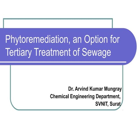 Phytoremediation, an option for tertiary treatment of sewage