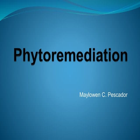 Phytoremediation