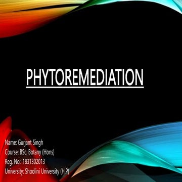 Phytoremediation: Harnessing Nature's Power with Phytoremediation