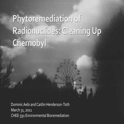 Phytoremediation of Radionuclides: Effective Bioremediation Using the Common ...