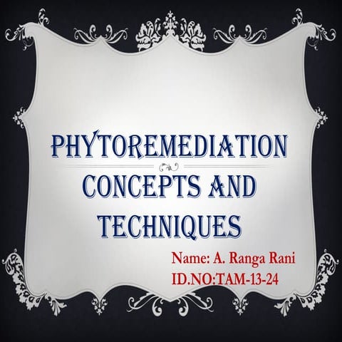 Phytoremediation tam 2013-24