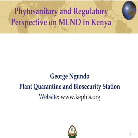 Phytosanitary and Regulatory Perspective on MLND in Kenya