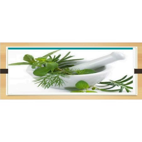 Review on beneficial effects of Phytosomes.pdf