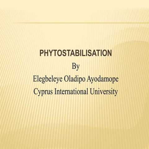 Phyto stabilisation