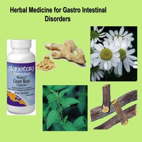 Phytotherapy 2-3 2020