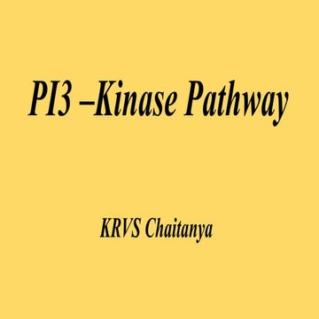PI3 kinase pathway