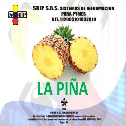 Beneficios de la piña | PPTX