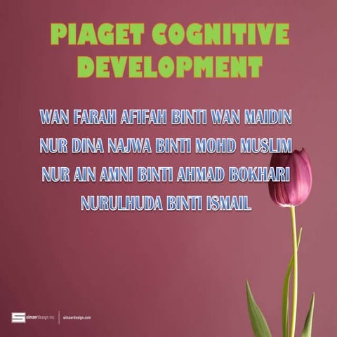 PIAGET COGNITIVE DEVELOPMENT 