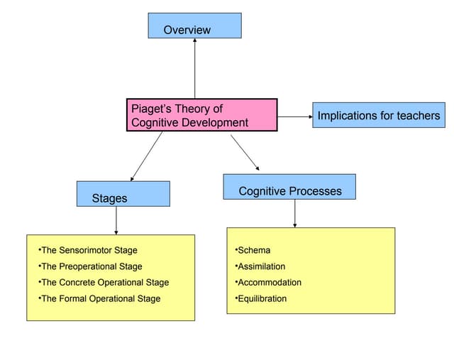 Piaget Theory