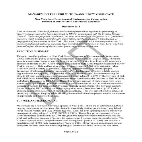 Piano nyc cigni 2014