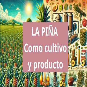 Manualpina | PDF