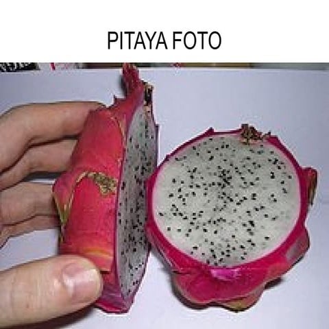 Piataya  fotos