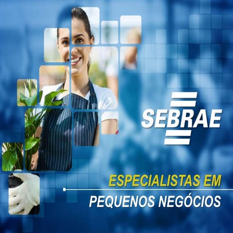 PIB dos pequenos negócios no Brasil