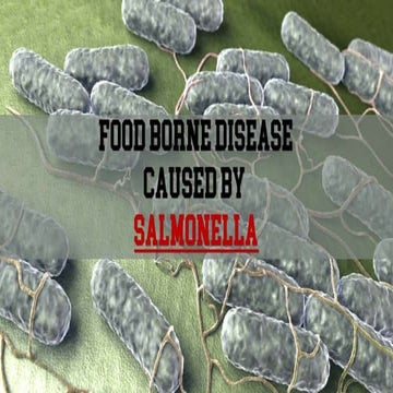 Food borne illness associated with salmonella | PPT