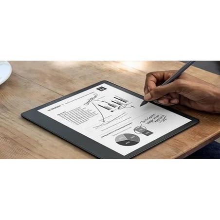 The Anatomy Coloring Book | PDF