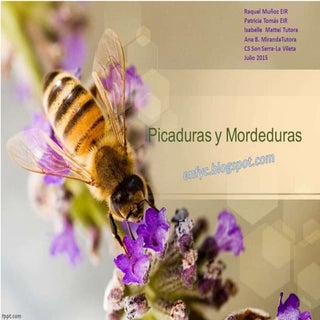 Picaduras y mordeduras, actualizaci...