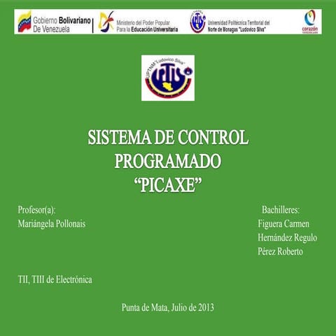 Sistema de picaxe | PPTX