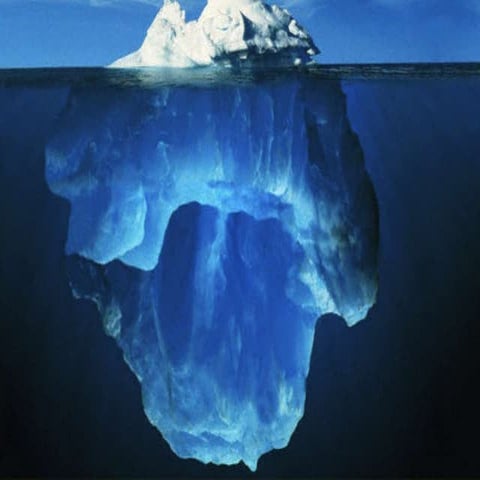 PRODUÇÃO INTEGRADA DE CITROS