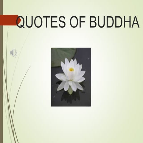 Quotes of buddha