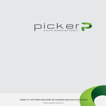 Picker Digital Marketing Agency 2015