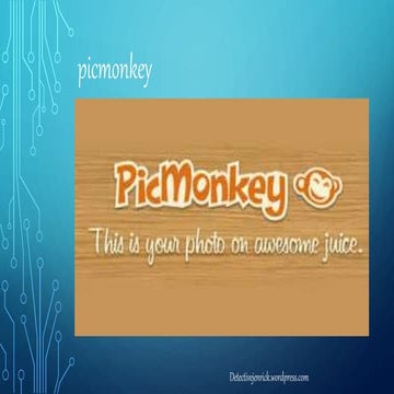 how to use picmonkey