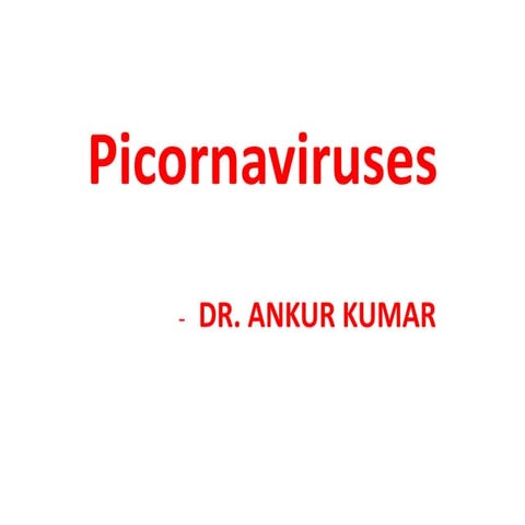 Picornavirus