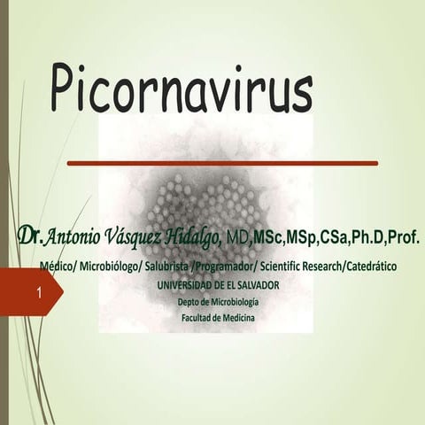 Picornavirus micro.ppt
