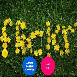 Picture perfect hacks with flickr API