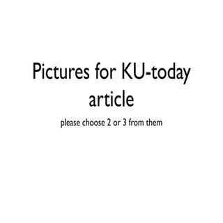 Pictures to choose from (for ku today)