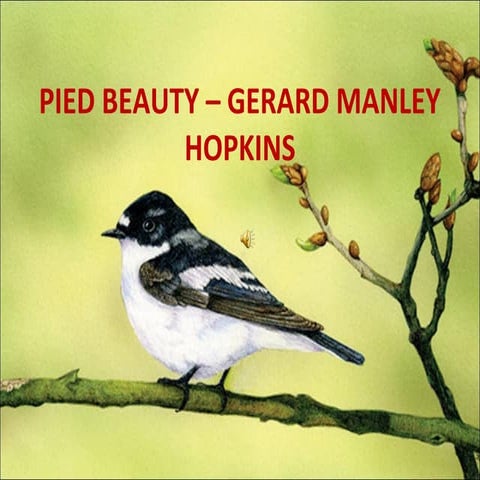 Pied beauty my ppt