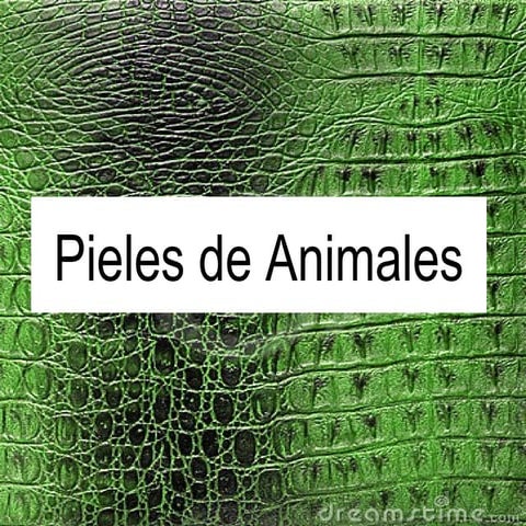 Pieles de animales
