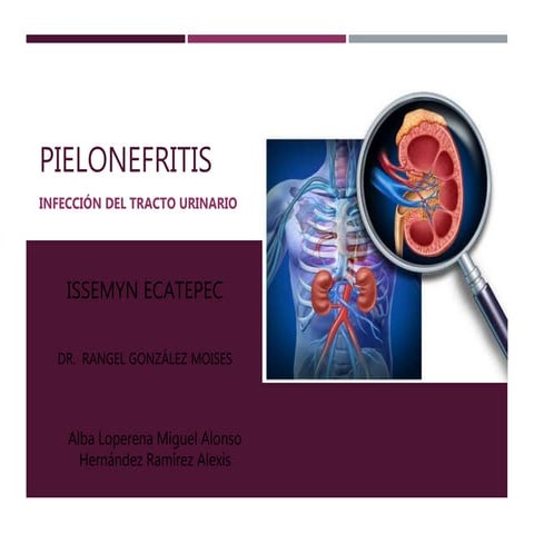 Pielonefritis