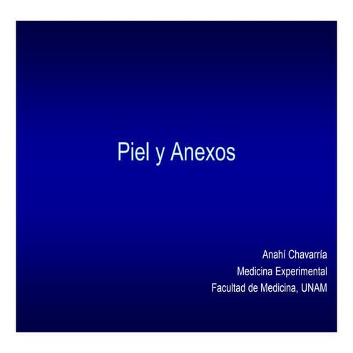 Histología de piel y anexos