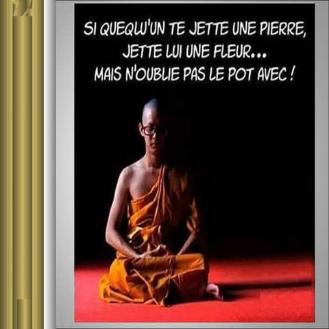 Pierre fleur isa mas1111