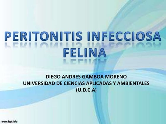 Peritonitis infecciosa felina (pif) | PPT