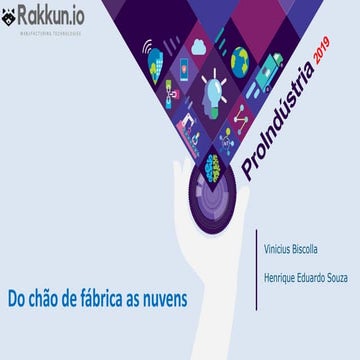 PIF2019 - A10 - Henrique Eduardo Souza e Vinícius Biscolla - Rakkun